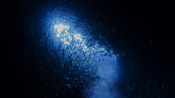 洞穴里水下的光线和鱼群图片下载