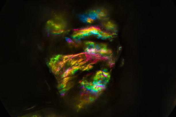 马萨诸塞州玛莎葡萄园岛的一粒沙粒的抽象显微照片。图片下载