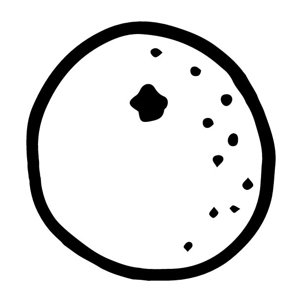 橙色水果涂鸦风格矢量插图孤立在白色图片下载