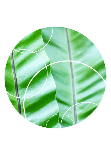 美丽的抽象数字艺术几何，现代和丰富多彩的，自然，植物，热带，叶子，图片下载