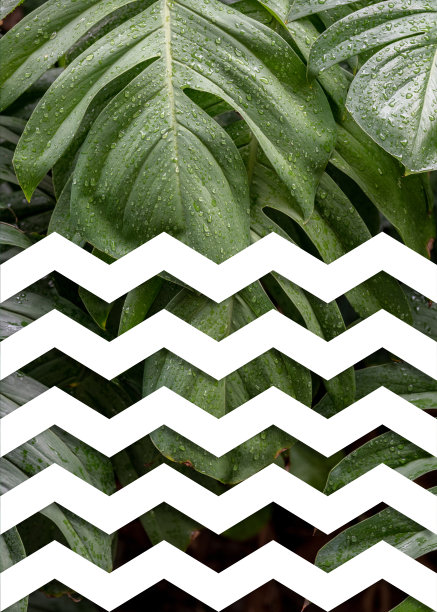 美丽的抽象数字艺术几何，现代和丰富多彩的，自然，植物，热带，叶子，图片下载