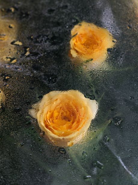 垂直拍摄黄玫瑰透过玻璃窗与水滴图片下载