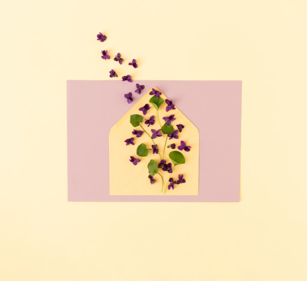 空信封信与紫罗兰花和叶子。母亲节、妇女节或情人节卡片。图片下载