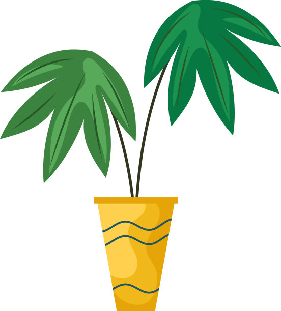 在黄色花盆中种植室内植物图片下载