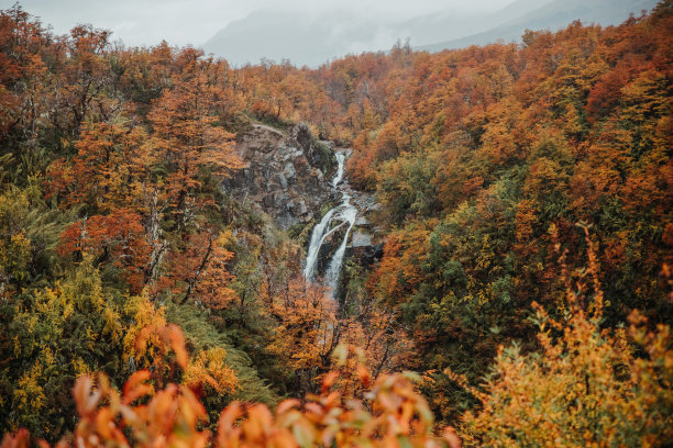 秋天树林里瀑布的美丽照片图片下载