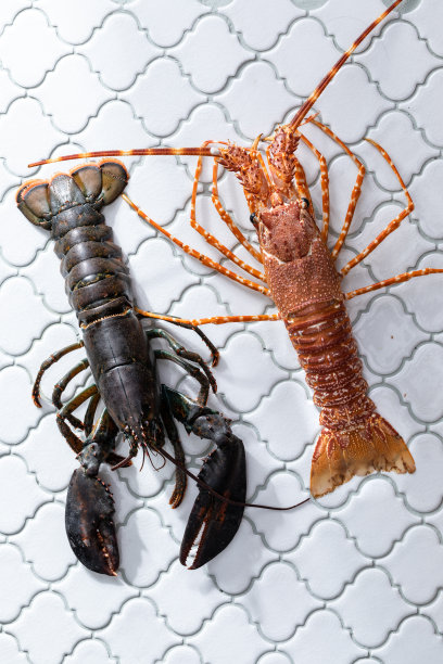 厨房桌子上的生龙虾和红色小龙虾的俯视图图片下载