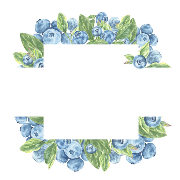 水彩蓝莓插图框架。背景手绘植物风格孤立的野生浆果在树枝上，白色背景上的叶子，用于婚礼，假日，食品设计图片下载