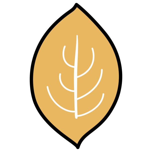 简单的落叶插图图片下载