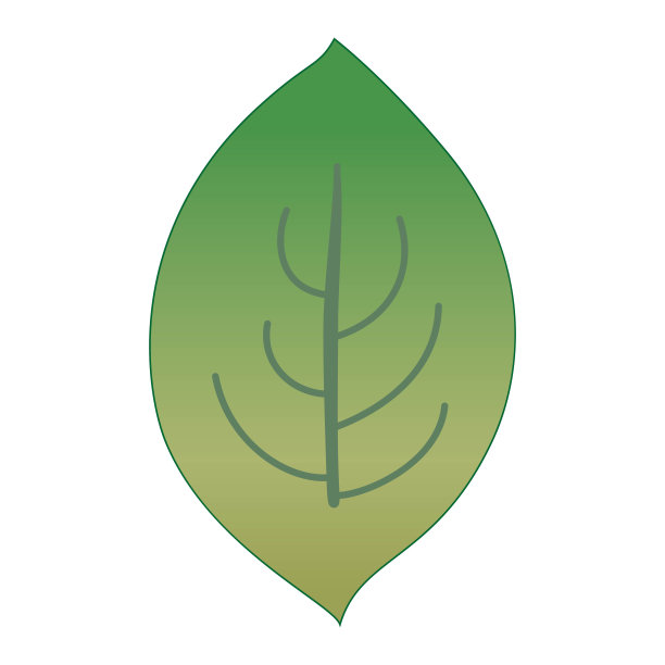 简单的叶子插图图片下载