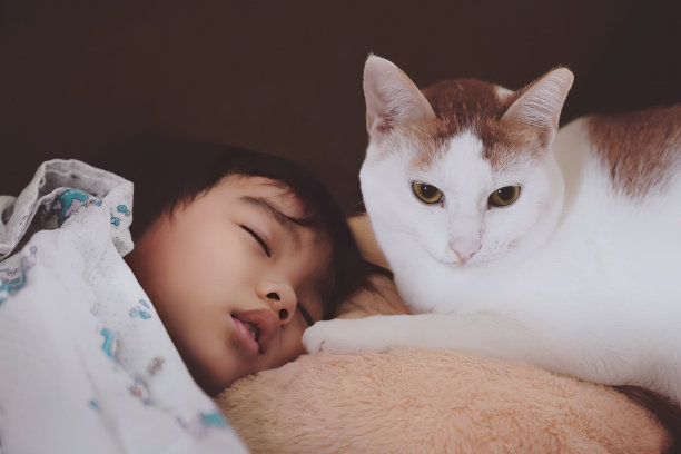 女儿和猫-02图片下载