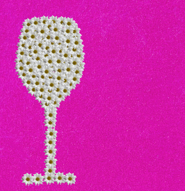 白色洋甘菊在粉色背景上的抽象玻璃。酒店，酒吧，品酒，酒单概念图片下载