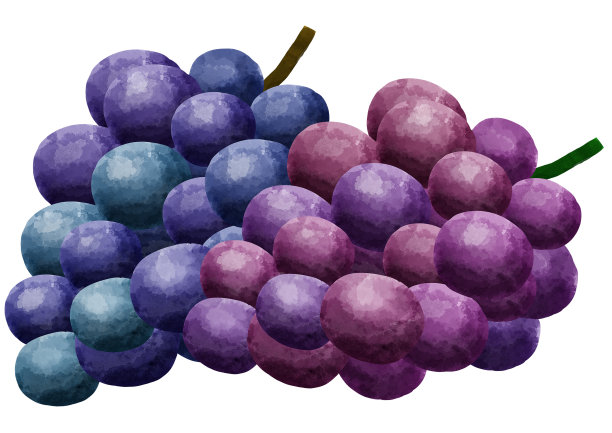 葡萄葡萄葡萄葡萄水果水果维生素甜点食物图片下载