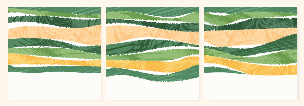 绿色抽象稻田顶视图与纹理矢量正方形背景。自然图案，生态插画，乡村后期设计。收藏农业景观，简约生态海报套装图片下载