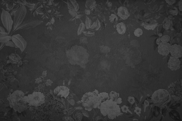 装饰b&w花羊皮纸的背景与复制空间在中间图片下载