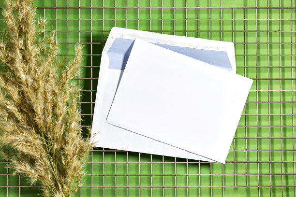 夏季婚礼文具模型现场。空白贺卡与信封上面的篱笆背景与芦苇植物。女性平铺图片下载