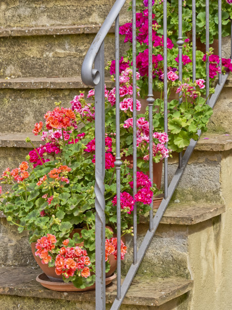 意大利托斯卡纳地区图片下载