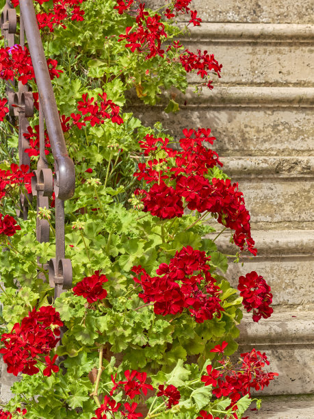 意大利托斯卡纳地区图片下载