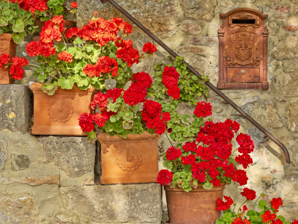 意大利托斯卡纳地区图片下载