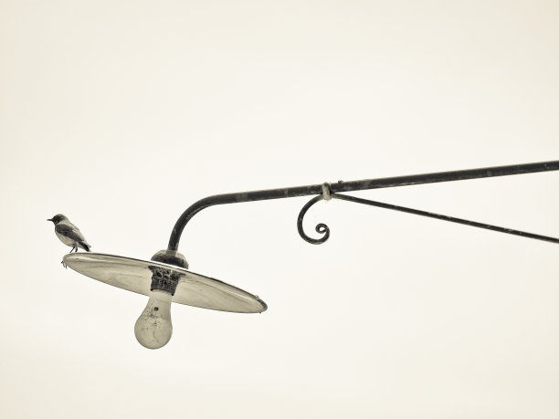 意大利托斯卡纳地区图片下载