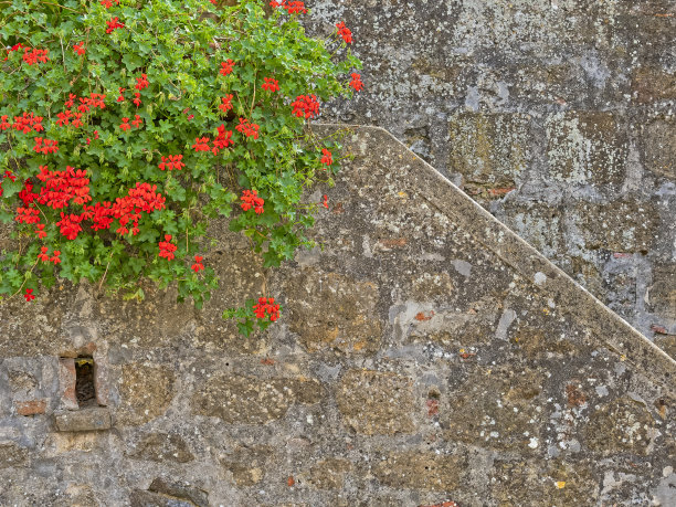 意大利托斯卡纳地区图片下载