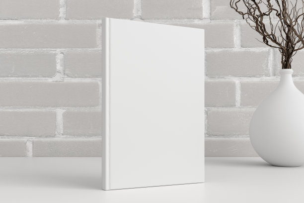 垂直的书封面模拟站在BBB书桌与白色砖墙背景。图片下载