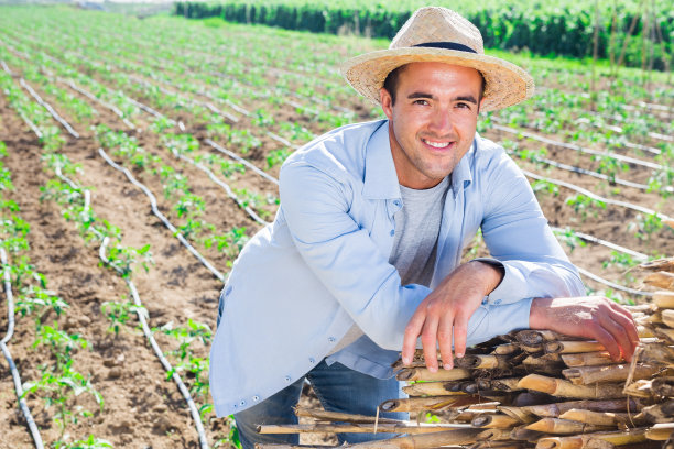 正面雇用工人的肖像在农场领域的一天图片下载