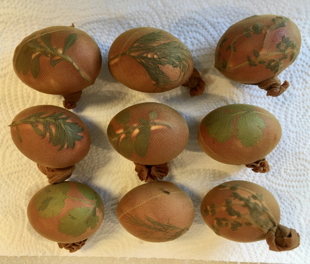 照片中的配方是如何借助树叶和植物为复活节彩蛋上色。用天然染料和植物图案在彩蛋上着色的方法。图片下载