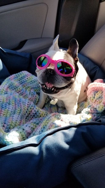 这是她一生中最快乐的时光!图片下载