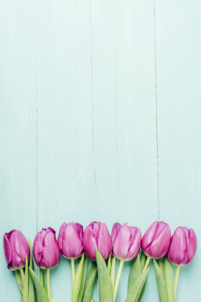 紫色郁金香放在绿松石木桌上。春假概念。俯视图，平面布局，复制空间图片下载