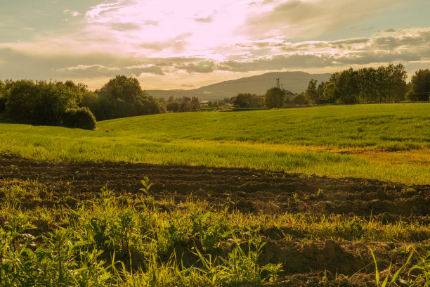黄昏时分，在挪威Eidsvoll附近丘陵地带的一个小土豆田草地和森林。这张照片摄于古布兰德斯代尔斯登的圣奥拉夫斯格。朝圣路线从奥斯陆到特隆赫姆图片下载