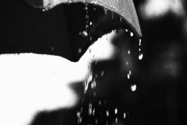 伞。降雨。黑白单色图片下载