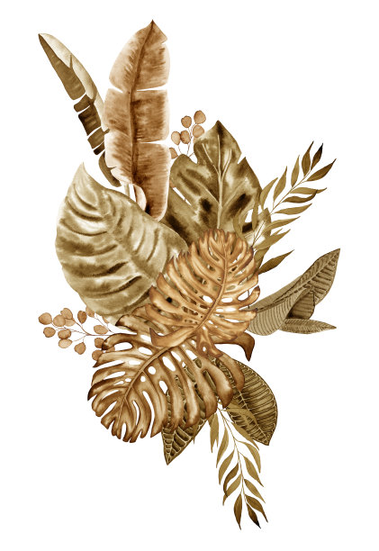 水彩手绘波西米亚花束。为明信片和墙壁艺术安排异国情调的干棕榈叶。波西米亚风格的植物热带成分。图片下载