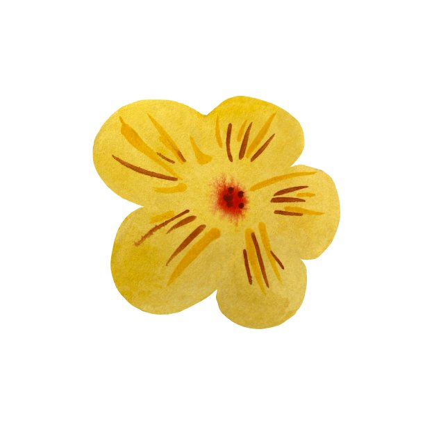 花黄色可爱的平面水彩插图图片下载