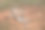 三个羚羊躺在大草原的草地上图片下载