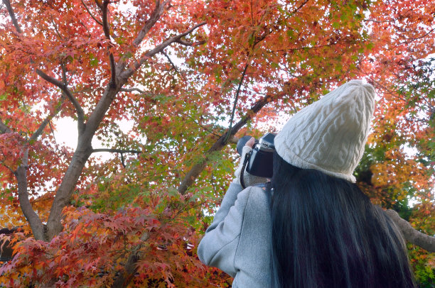 女子在秋天的彩色枫树前拍照图片下载