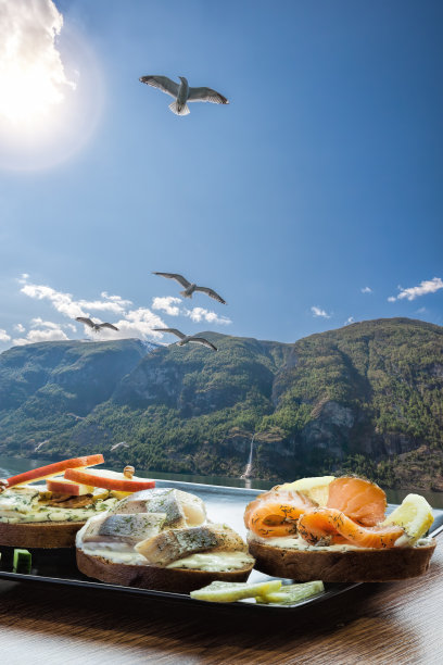 典型的斯堪的纳维亚三明治在挪威弗洛姆村附近的峡湾和海鸥图片下载