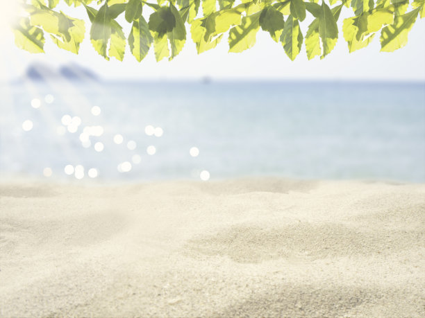 画风梦。在海滩和图片的顶部是树叶。图片下载