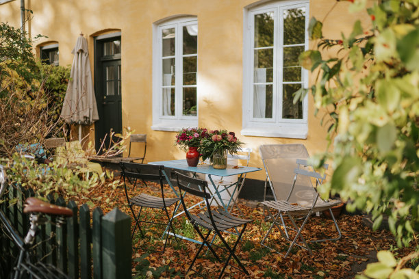 哥本哈根一所房子舒适的庭院特写镜头图片下载