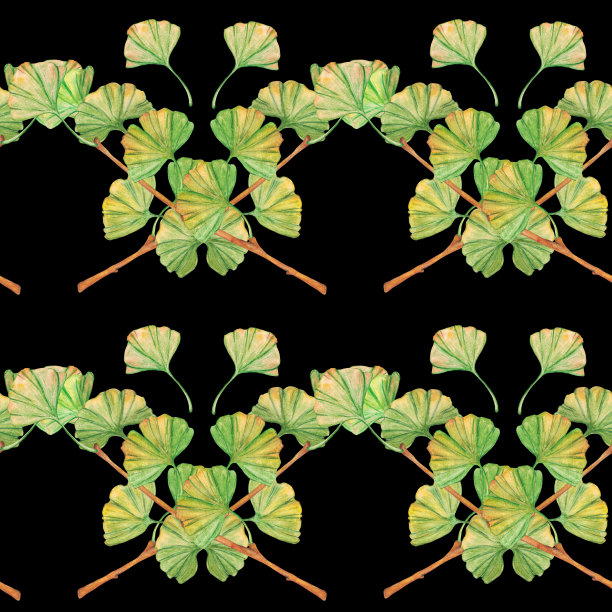 无缝图案银杏绿黄叶片，印刷植物学叶片。水彩分支。叶子剪贴艺术。图片下载