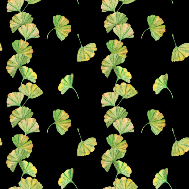 无缝图案银杏绿黄叶片，印刷植物学叶片。水彩分支。叶子剪贴艺术。图片下载