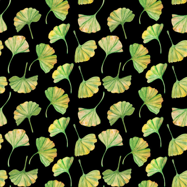 无缝图案银杏绿黄叶片，印刷植物学叶片。水彩分支。叶子剪贴艺术。图片下载