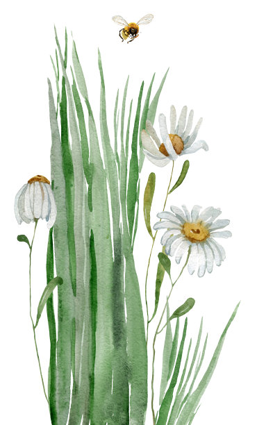 水彩草边图片下载