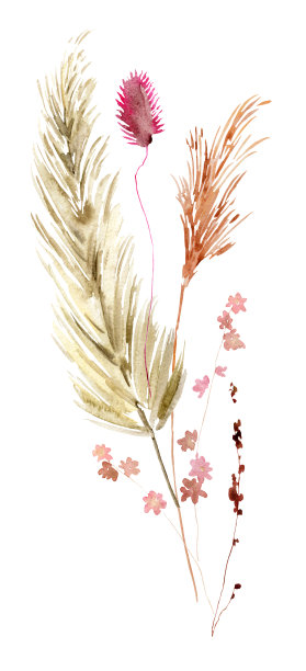 波西米亚花卉插图图片下载