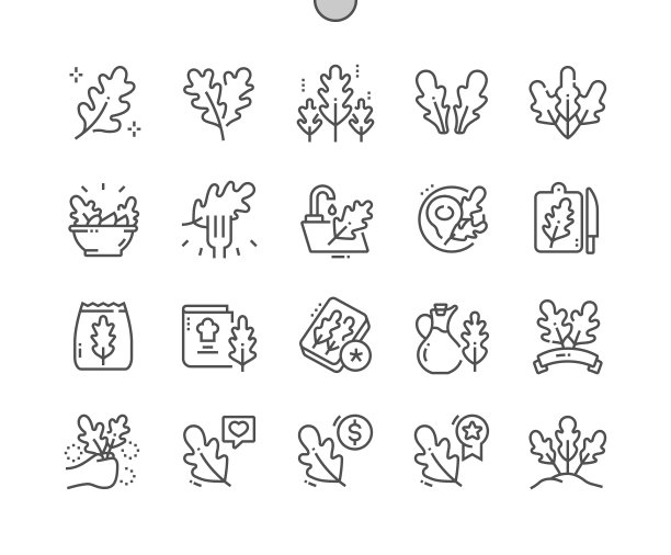 芝麻菜叶子。天然蔬菜有机营养食品。烹饪，食谱和价格。像素完美矢量细线图标。简单最小象形文字图片下载