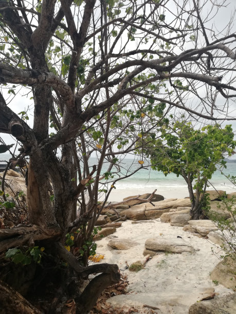 泰国的Samet岛图片下载