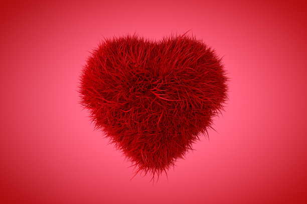 蓬松的心形，情人节的概念图片下载