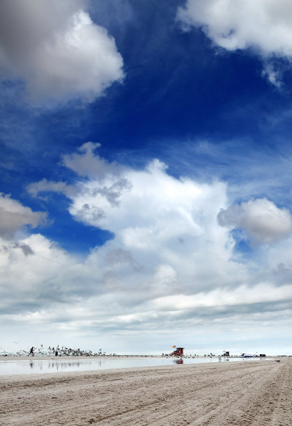 大风天，一名男子在热带沙滩上追逐海鸥图片下载
