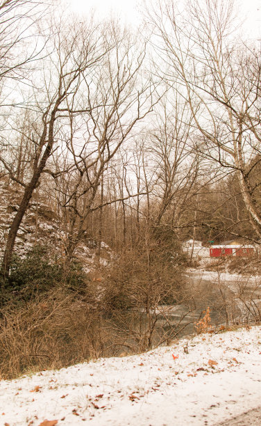 2022年12月西弗吉尼亚州冰雪白色的圣诞场景图片下载