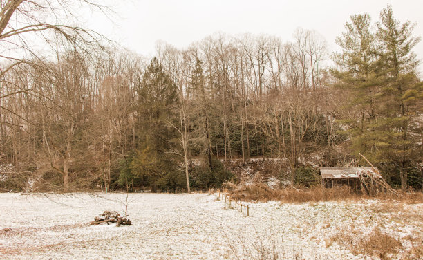 2022年12月西弗吉尼亚州冰雪白色的圣诞场景图片下载