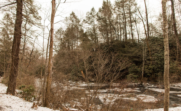 2022年12月西弗吉尼亚州冰雪白色的圣诞场景图片下载